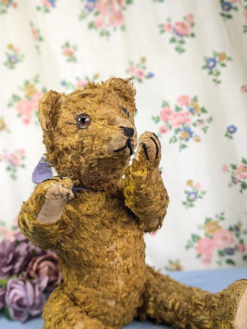 イギリス アンティーク テディベア アンティークベア 35.5cm