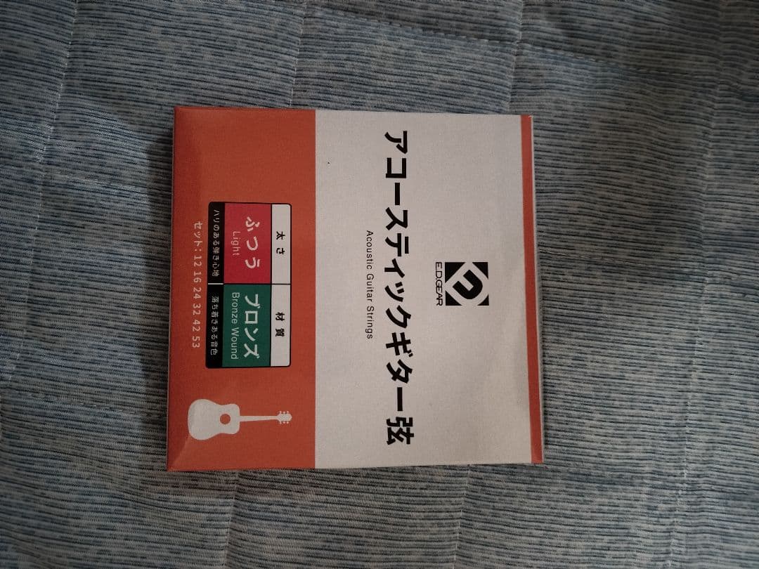 Soldin SFG-15 NAS アコースティックギター