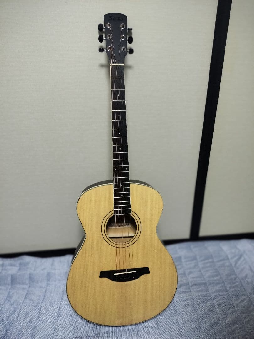 Soldin SFG-15 NAS アコースティックギター