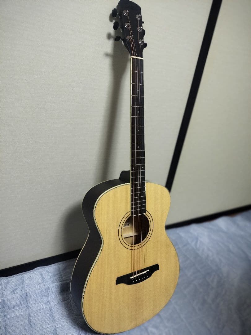 Soldin SFG-15 NAS アコースティックギター