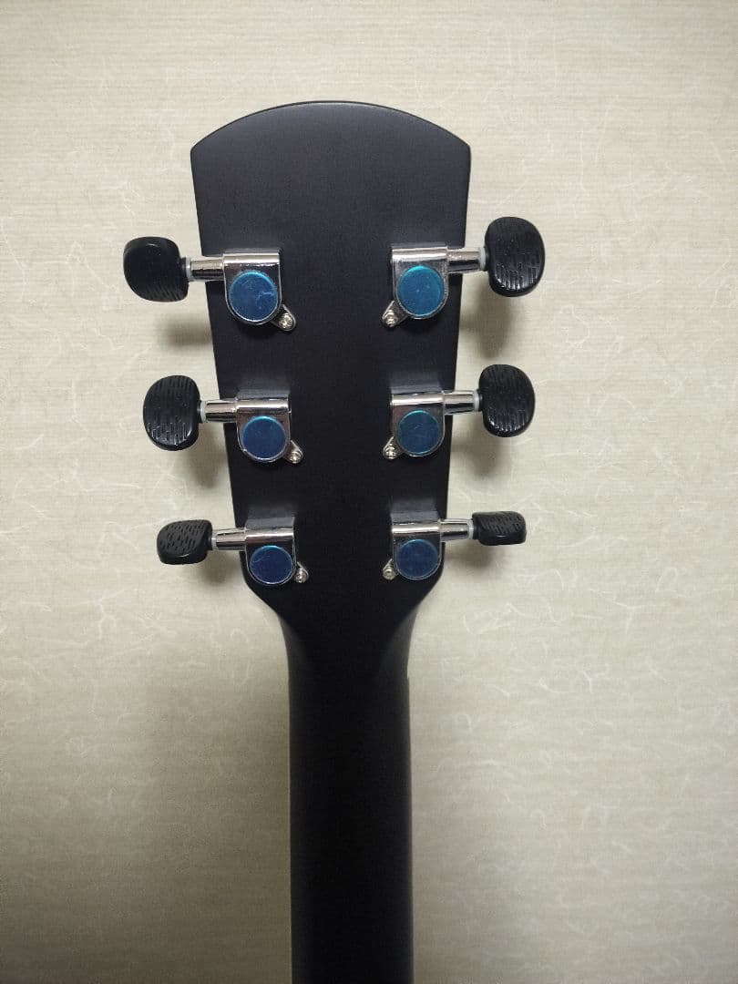 Soldin SFG-15 NAS アコースティックギター