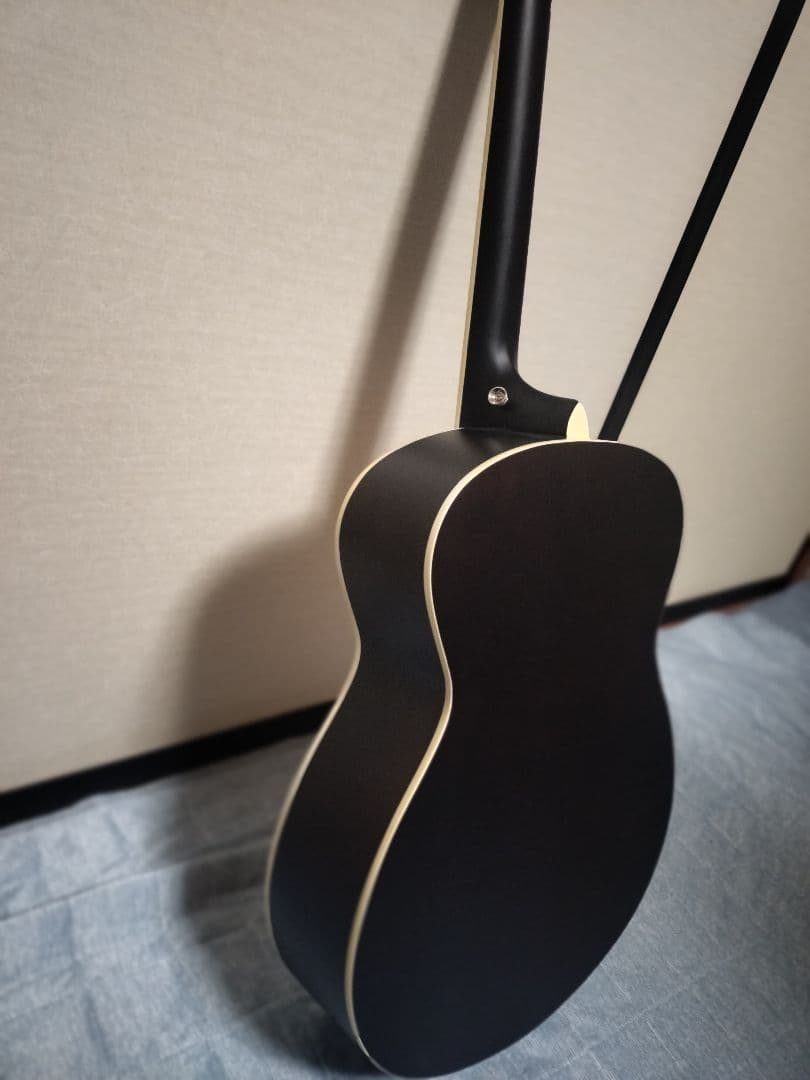 Soldin SFG-15 NAS アコースティックギター