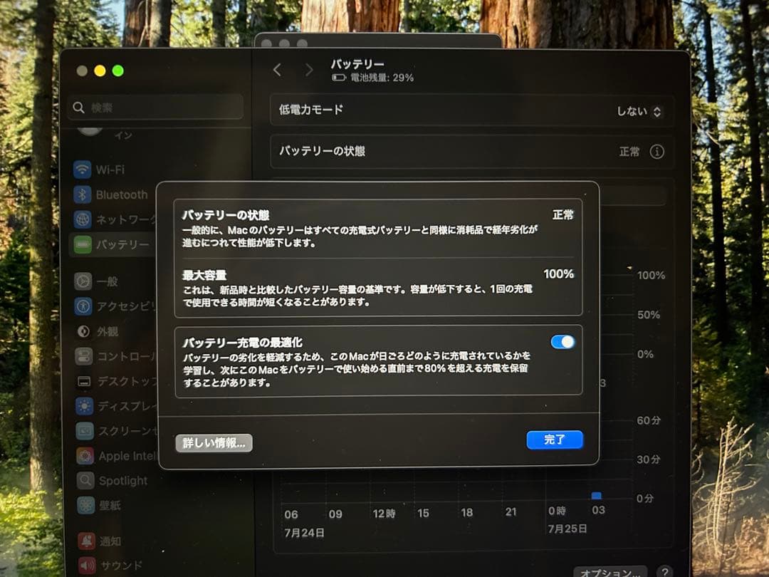 【極美品】MacBook Air M2チップ 8GB 256GB シルバー本体