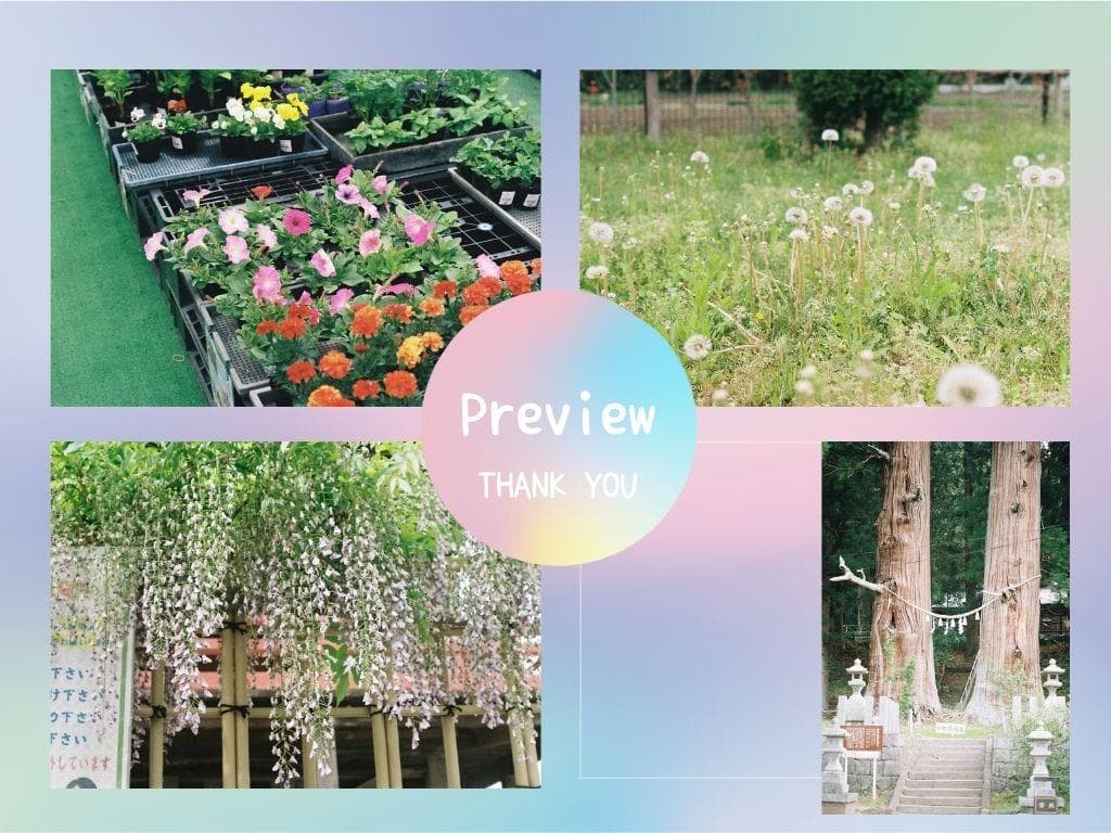 Pentax SP 　 Super Takumar 50mm f1.8