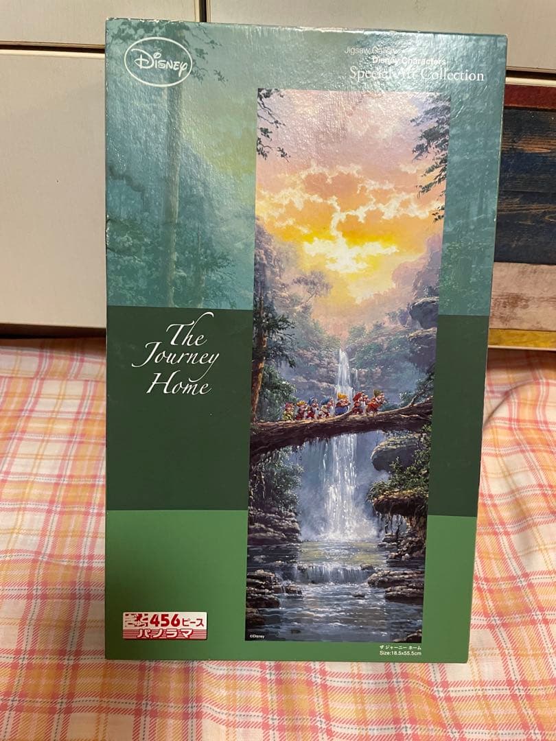 ディズニー　ザ ジャーニーホーム　ロデルゴンザレス　456p パノラマ パズル
