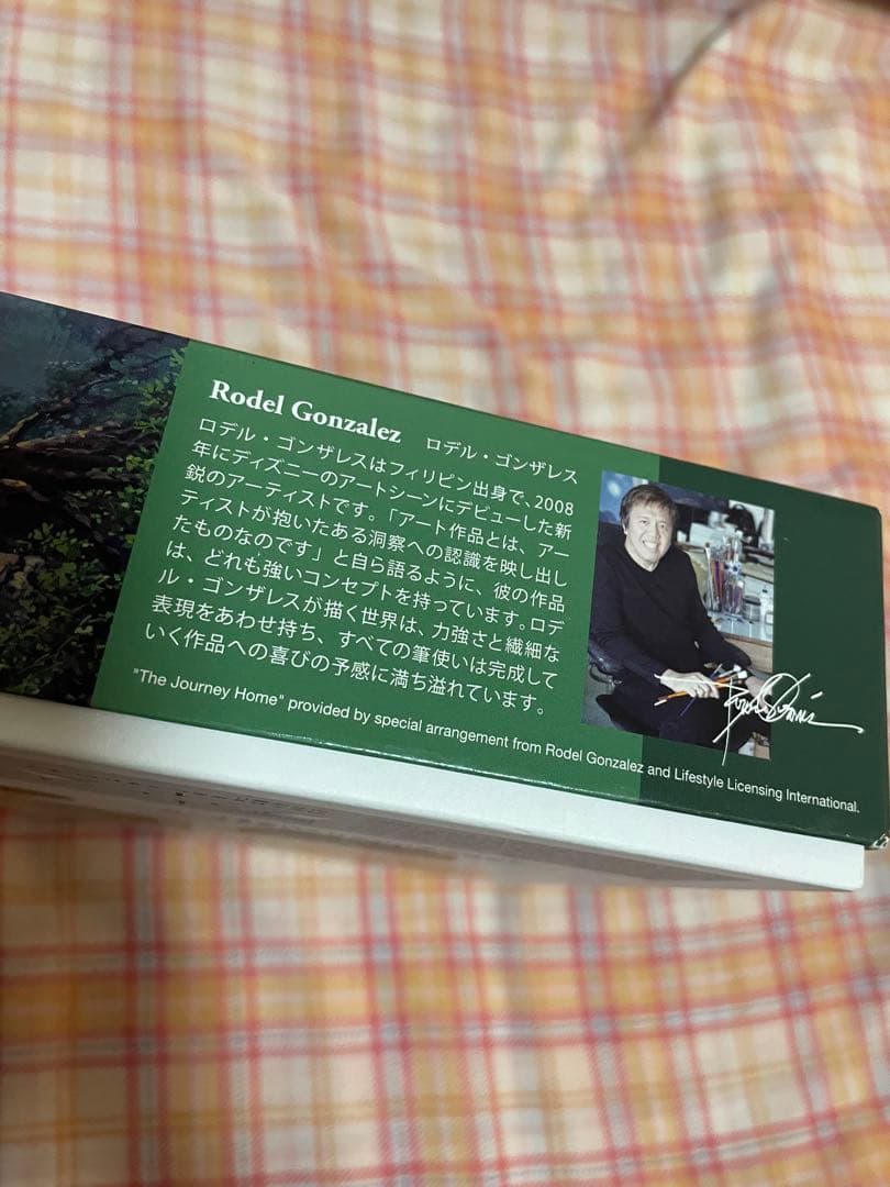 ディズニー　ザ ジャーニーホーム　ロデルゴンザレス　456p パノラマ パズル