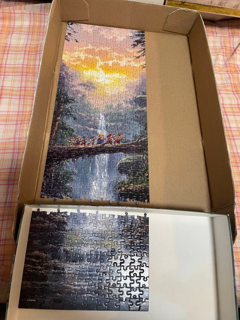 ディズニー　ザ ジャーニーホーム　ロデルゴンザレス　456p パノラマ パズル