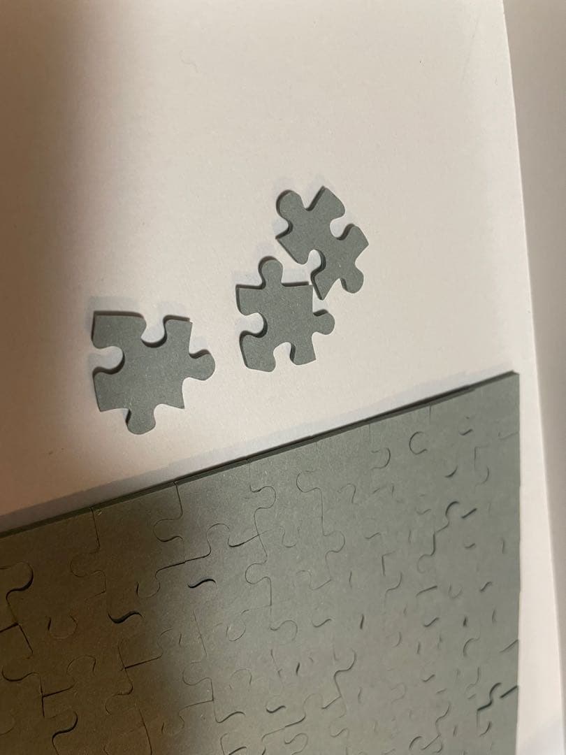 ディズニー　ザ ジャーニーホーム　ロデルゴンザレス　456p パノラマ パズル