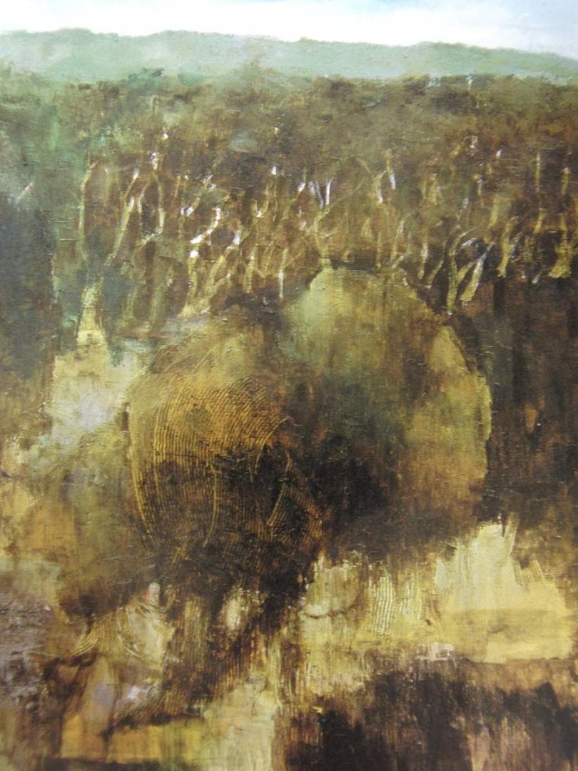 毛利弘子、【マングローブの林（沖縄）】、希少な額装用画集より