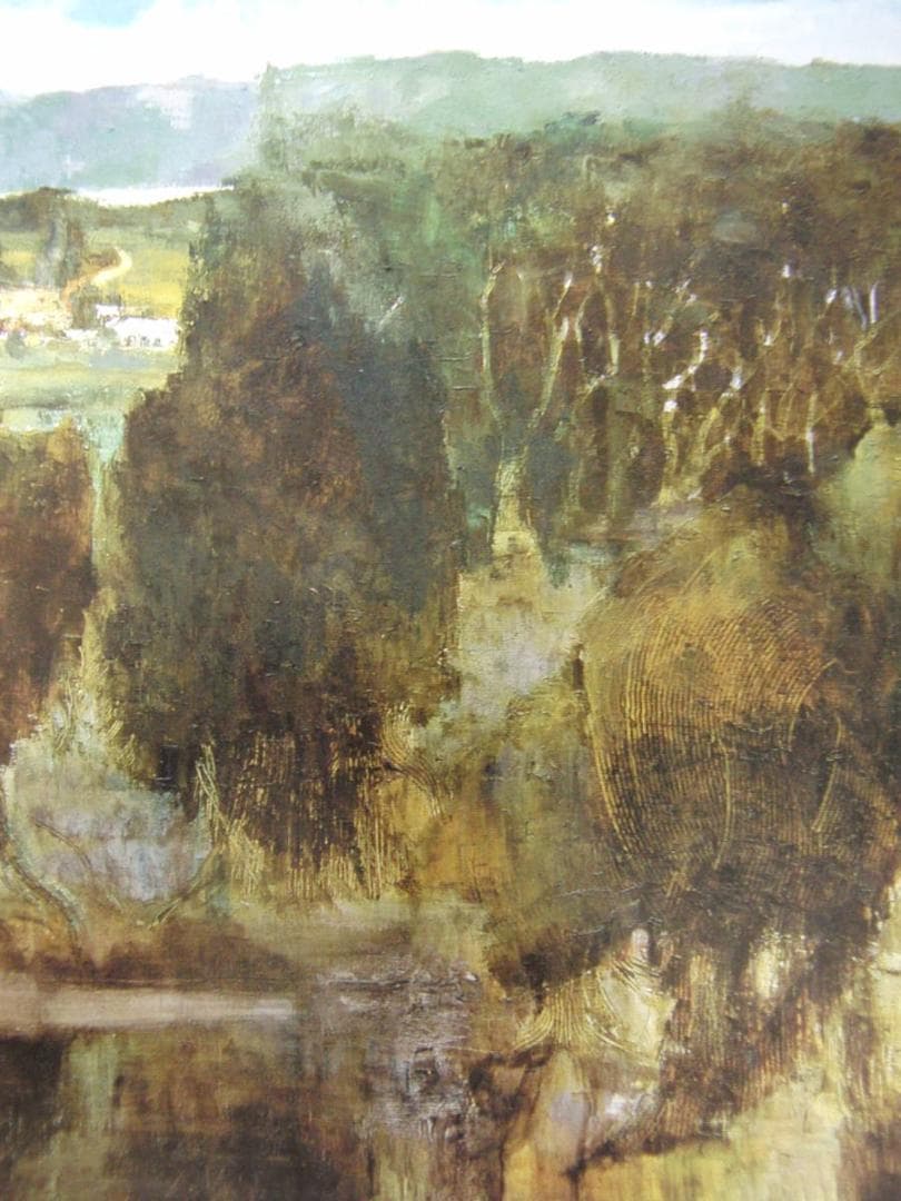 毛利弘子、【マングローブの林（沖縄）】、希少な額装用画集より