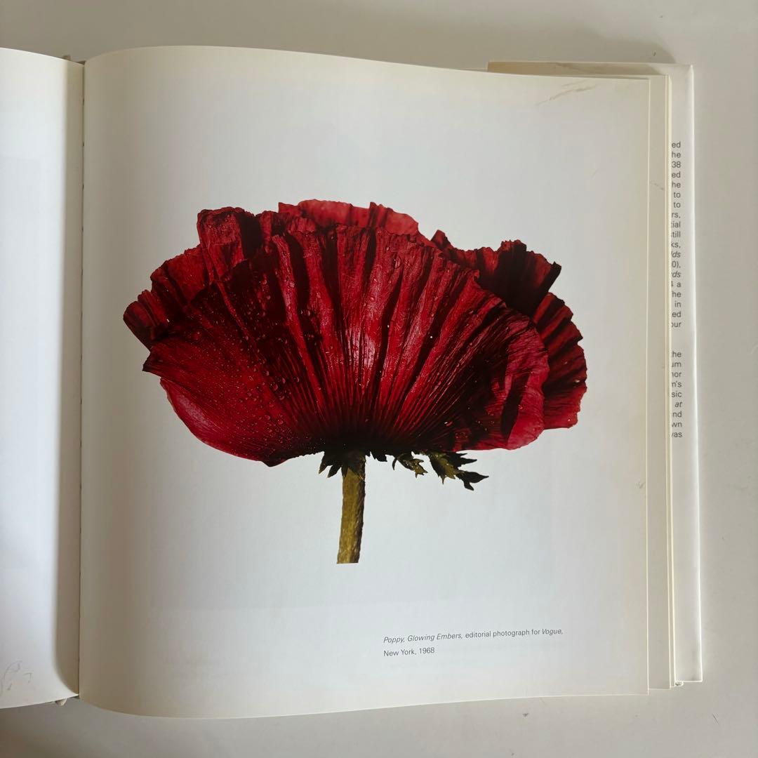 Still Life Irving Penn アーヴィングペン 写真集