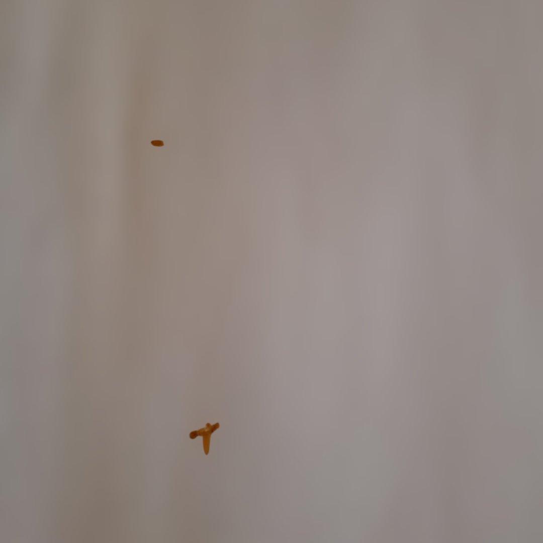 Levi's ジェームスディーン（ LEVI'S販促用ポスター）