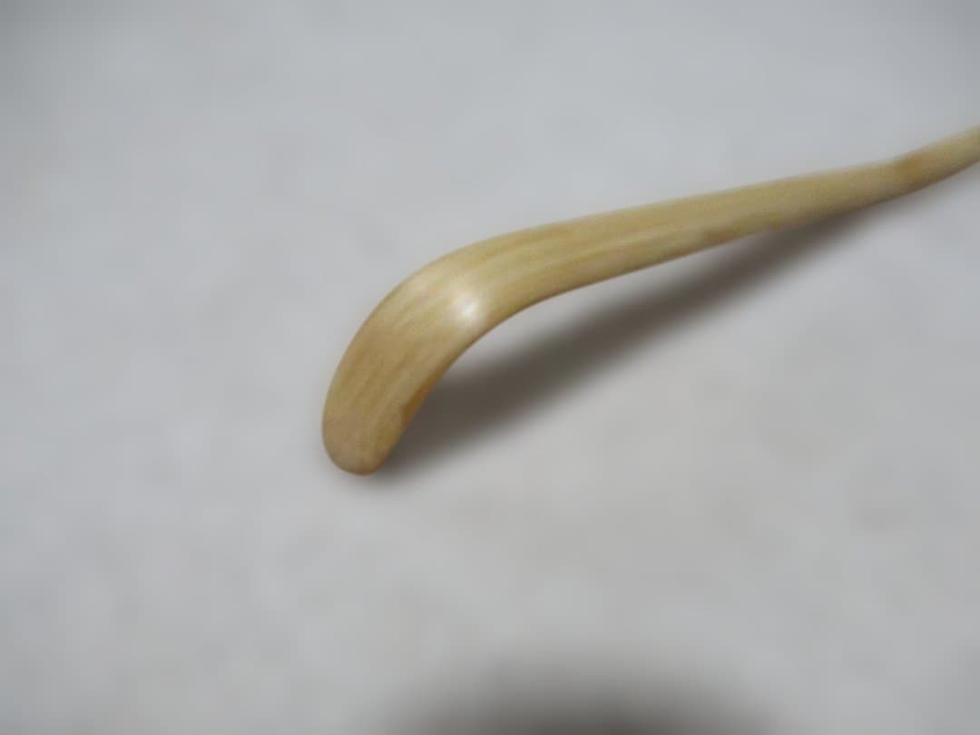 茶道具　竹茶杓　堀内宗完書付　銘佳日　表千家