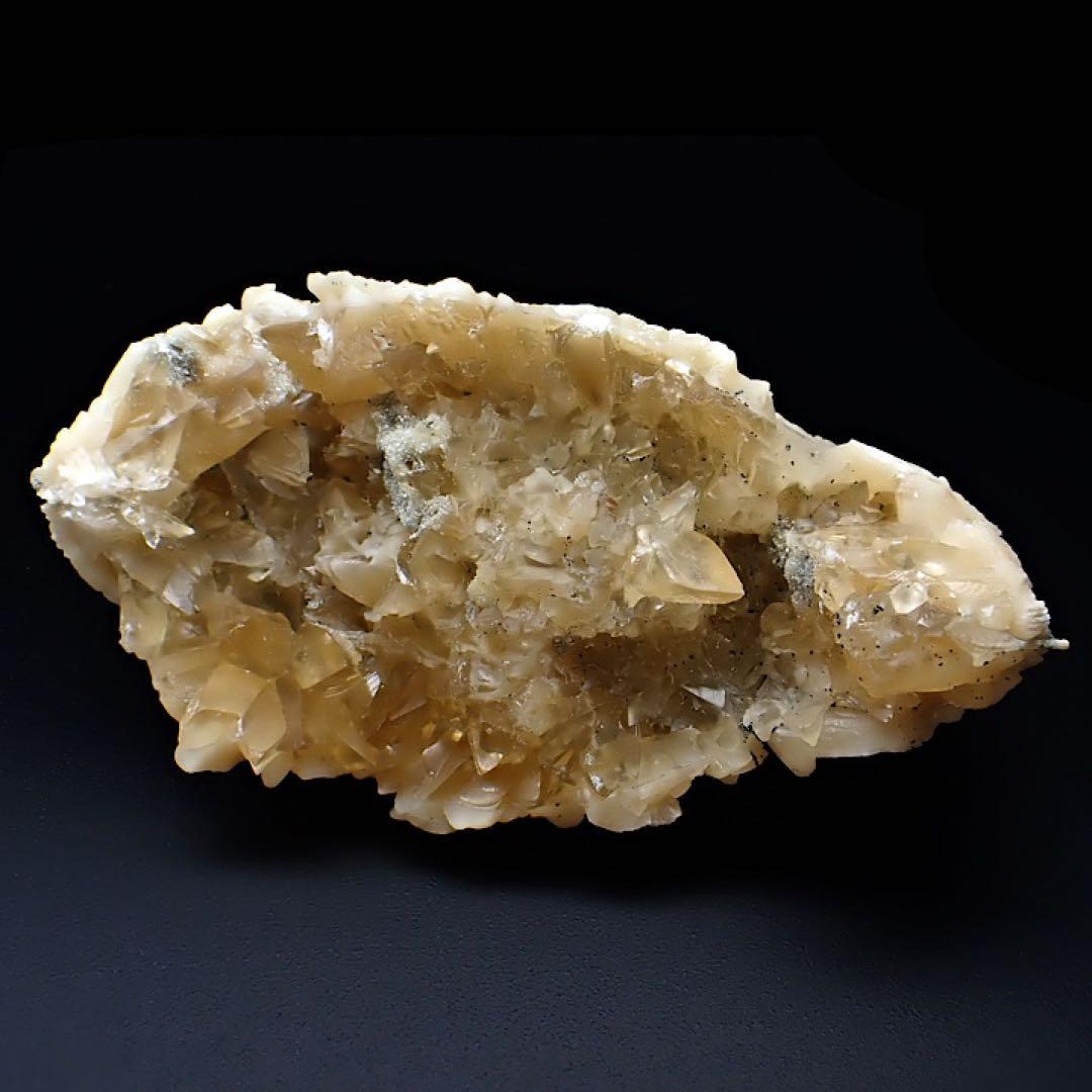 【アメリカ/フロリダ産】カルサイト(方解石)inハマグリ化石