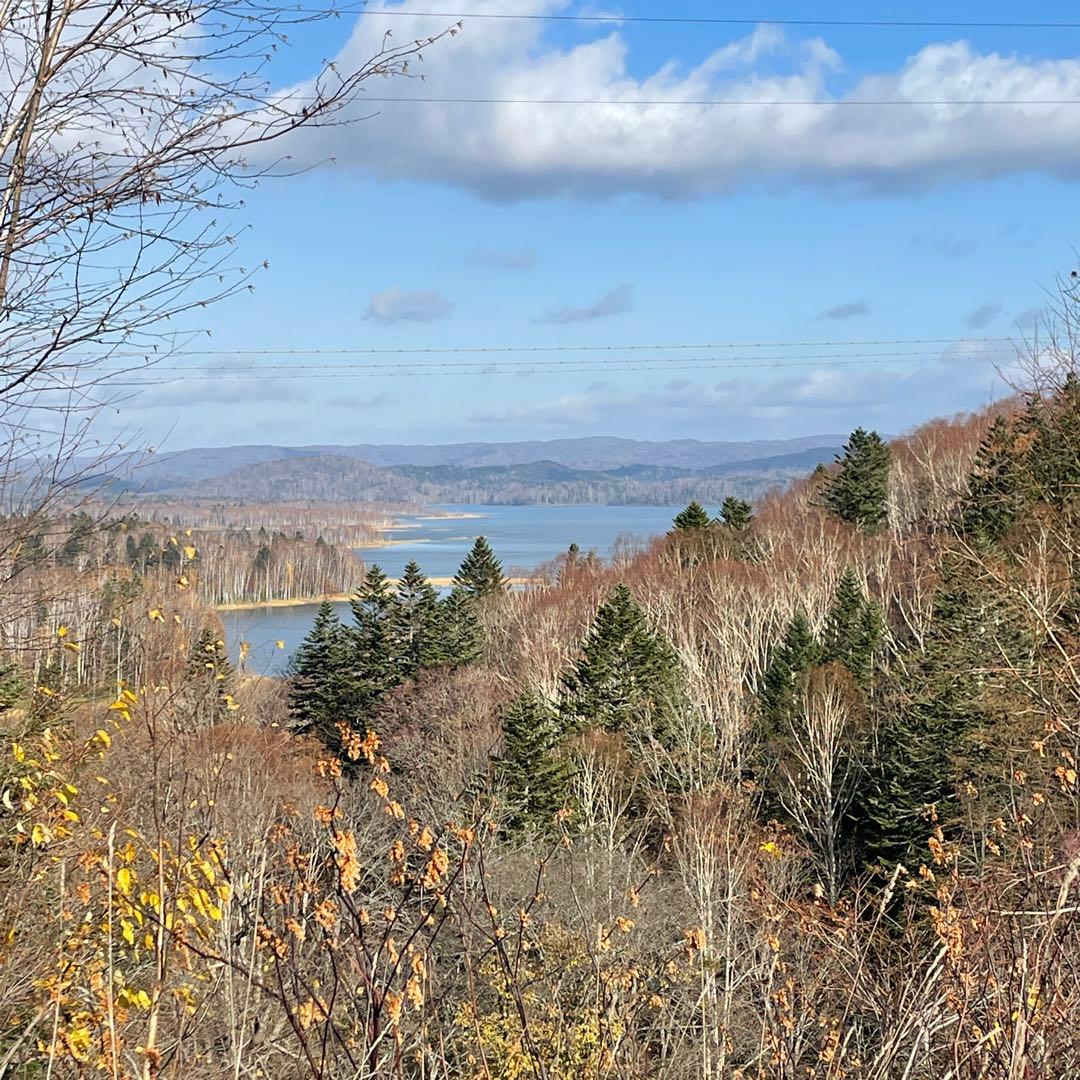鹿ジャーキー犬用２キロ＆アキレス腱800g