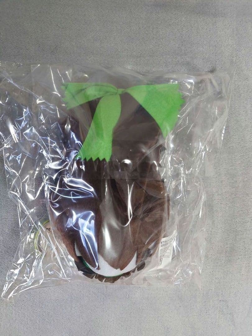 【火焔猫燐】 ふもふもりん。【霊烏路空】 ふもふもうつほ。