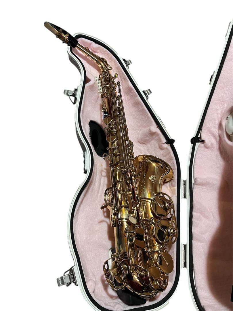 J.Michael アルトサックス　練習用の防音ケース入り