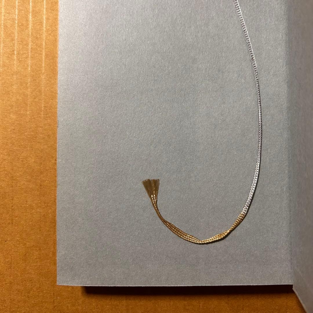 岡田睦『ワニの泪』