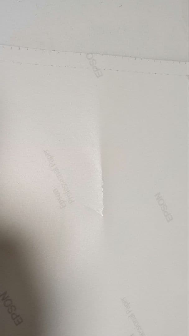 ハズビンホテル Hazbin Hotel 公式 バレンタイン限定 ポスター