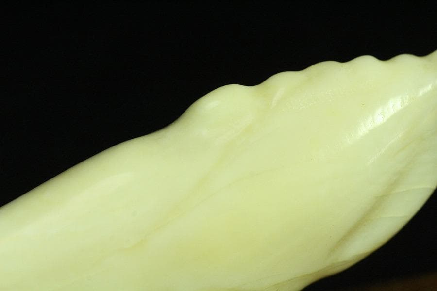 抹香鯨 歯 細密 彫刻 鯨 置物 根付 台付(K-A995)