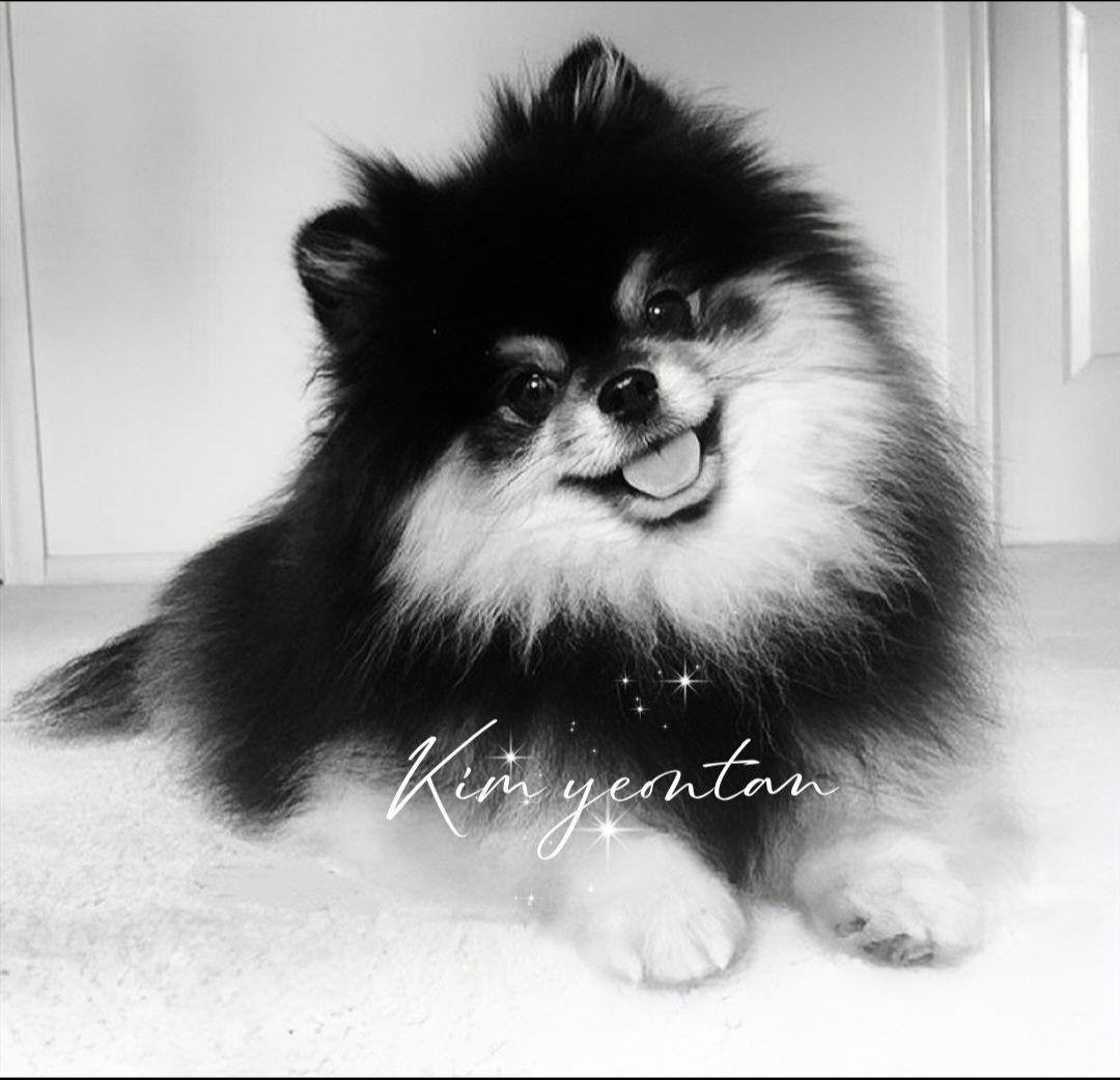 チミー様 確認用