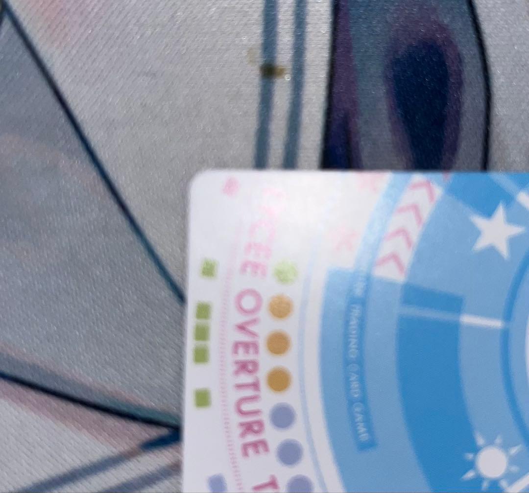 二つの翼　朱雀院椿　ssp おまけ付き