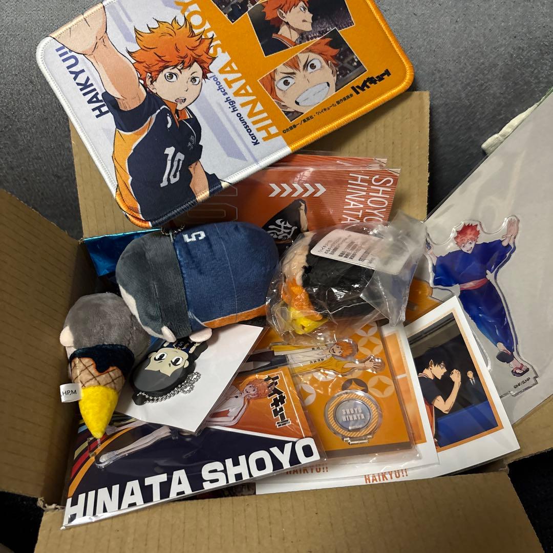 ハイキュー 田中龍之介 日向翔陽 まとめ売り