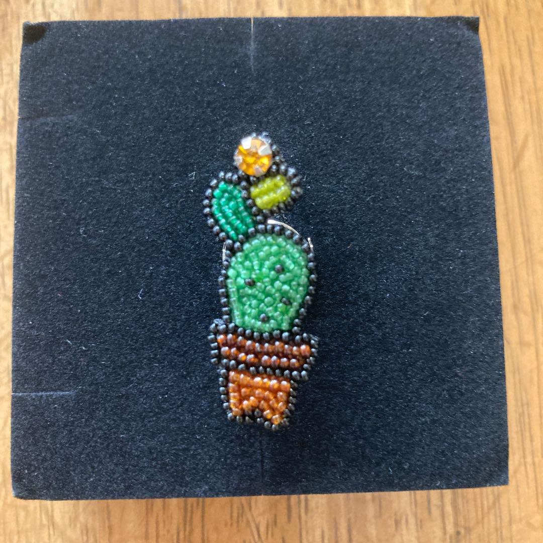 小林モー子　サボテンピン　メゾンデペルル