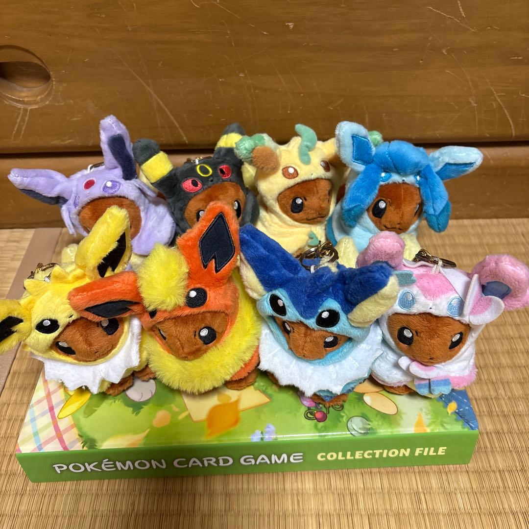 ポンチョを着たイーブイ 全種セット