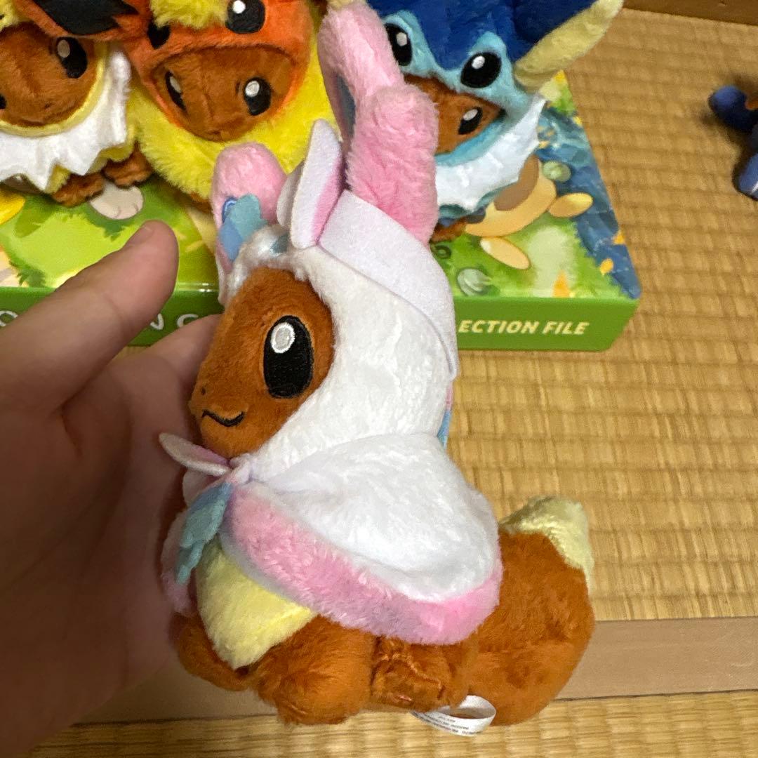 ポンチョを着たイーブイ 全種セット