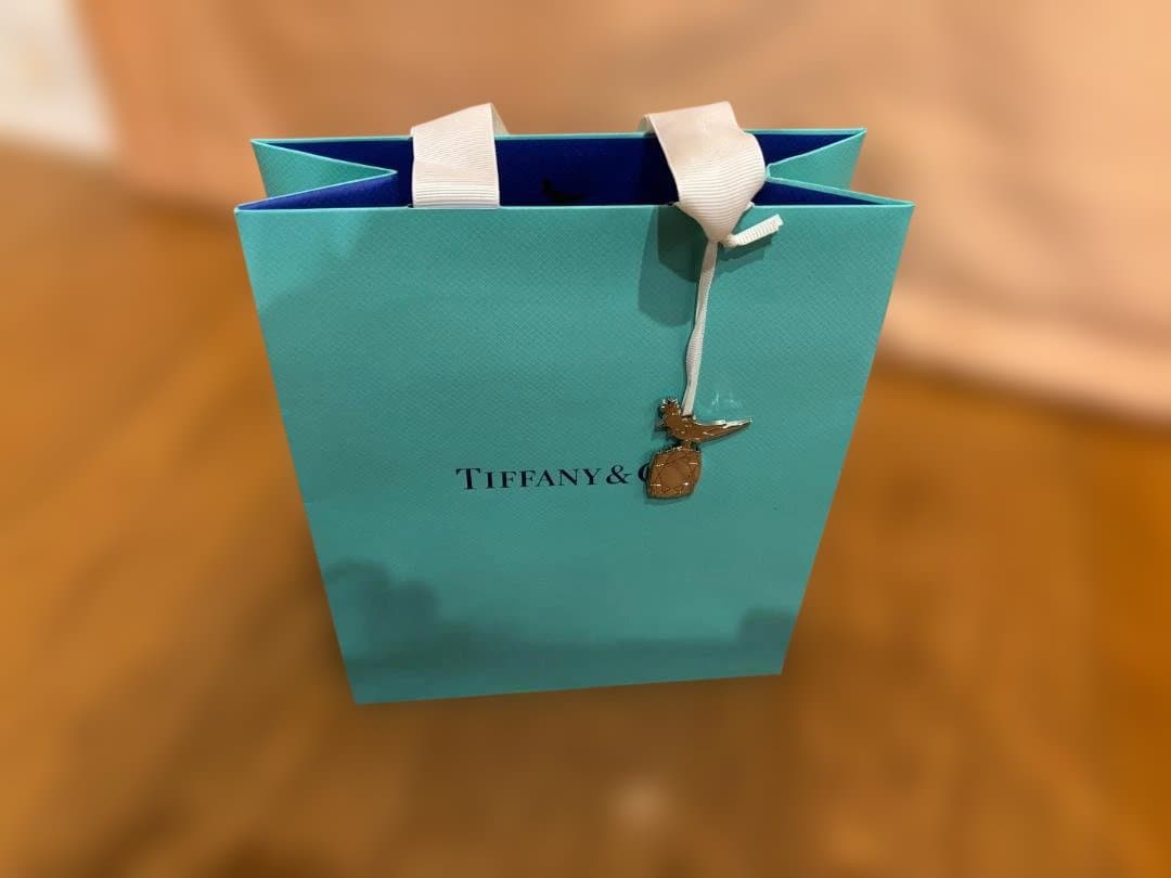 Tiffany 空箱・ジュエリーケース・紙袋3セット 限定チャーム付き