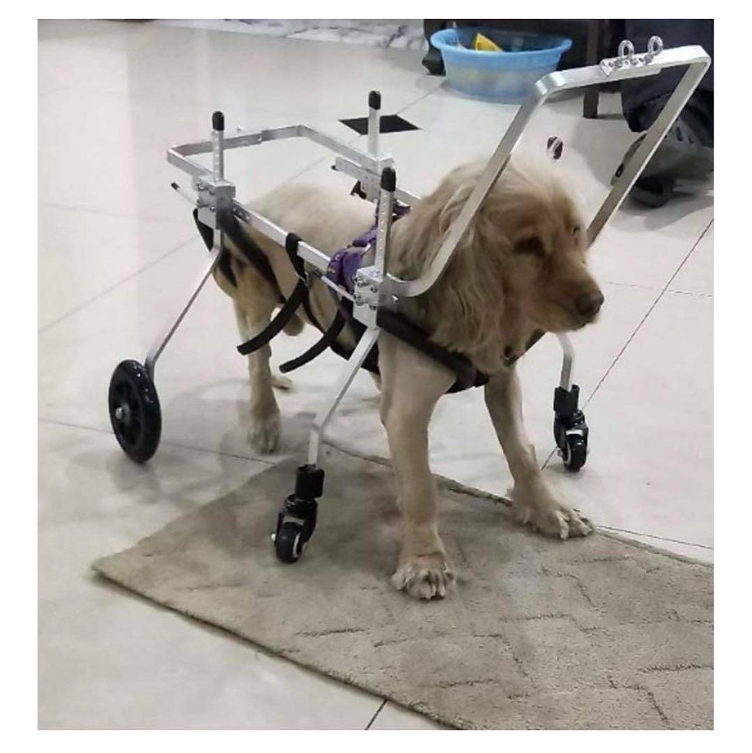 犬用車いす ステンレス製 4輪 xxs