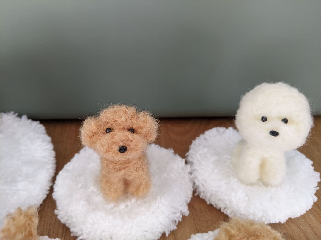 6体　　ひみつきち☆です　手乗りわんこ　トイプードル