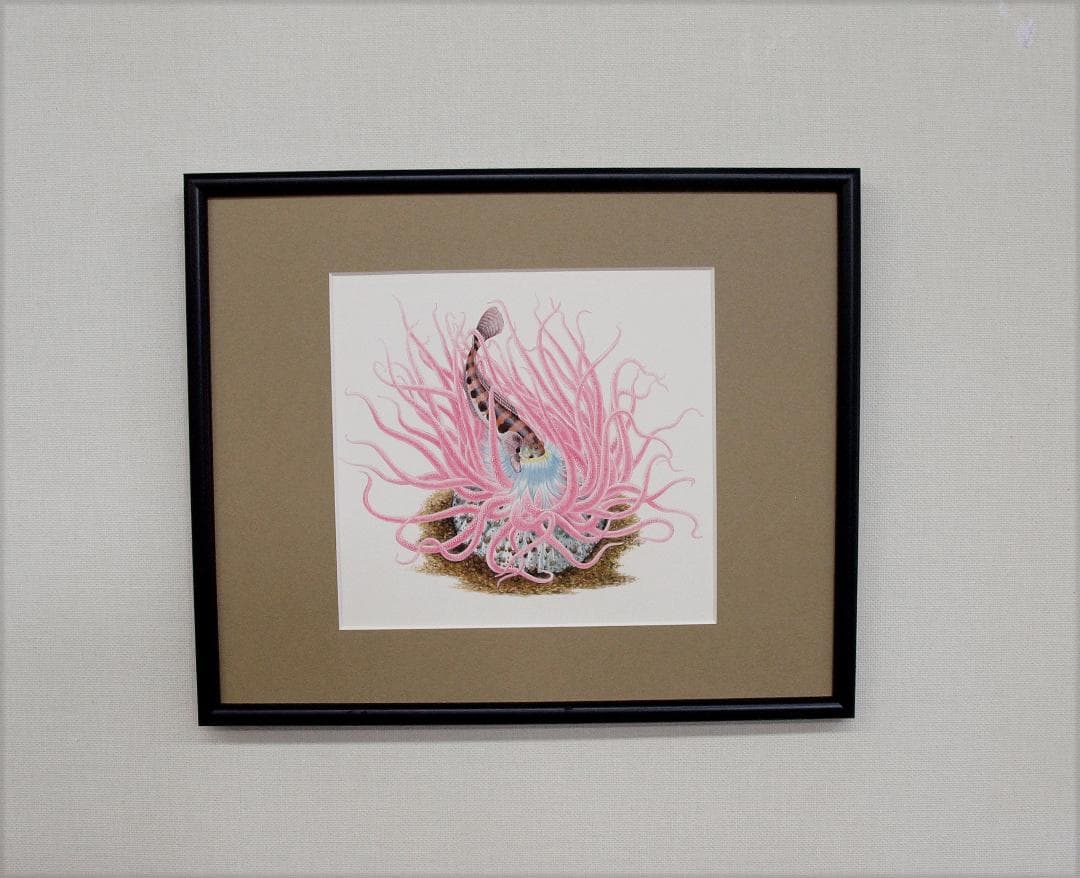 【絵画】ネイチャーアート「砂イソギンチャクとクラカケトラギス」原画