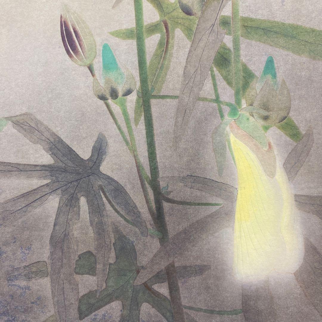 美品 掛け軸 速水御舟筆「黄蜀葵ニ胡蝶」リトグラフ 太巻き付 名画