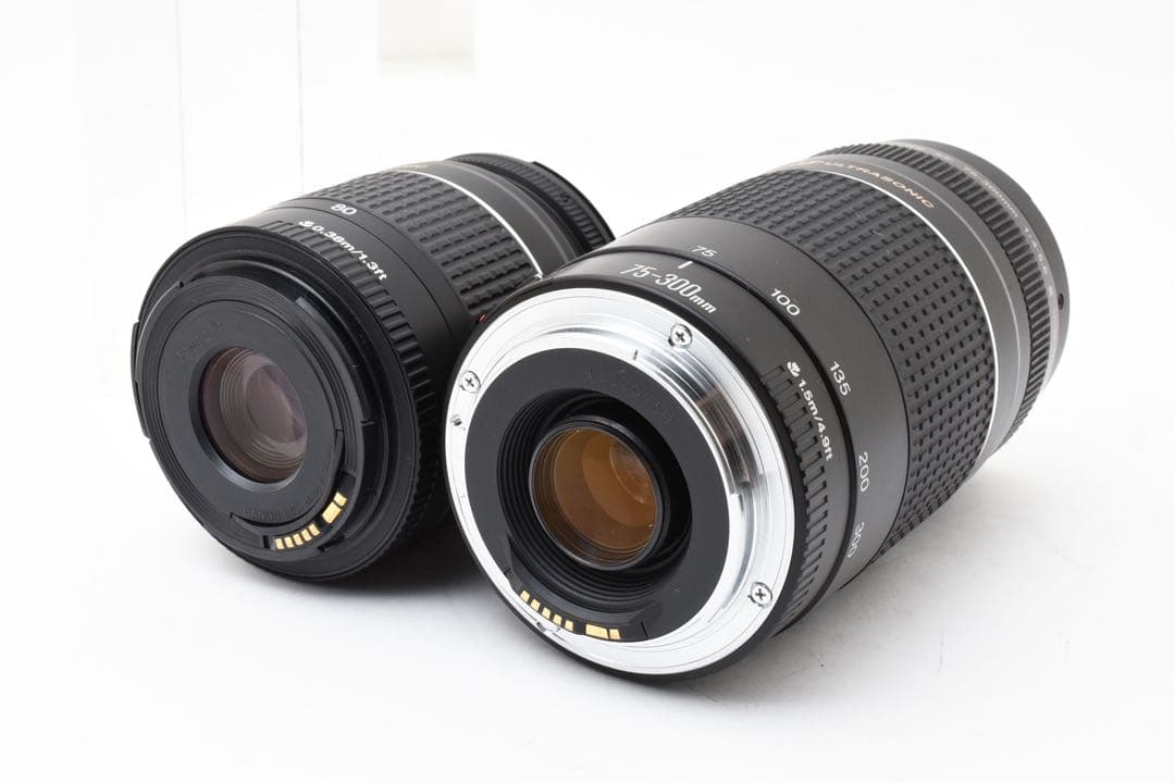 一眼レフカメラ Canon EOS 5D mark III標準&望遠レンズセット