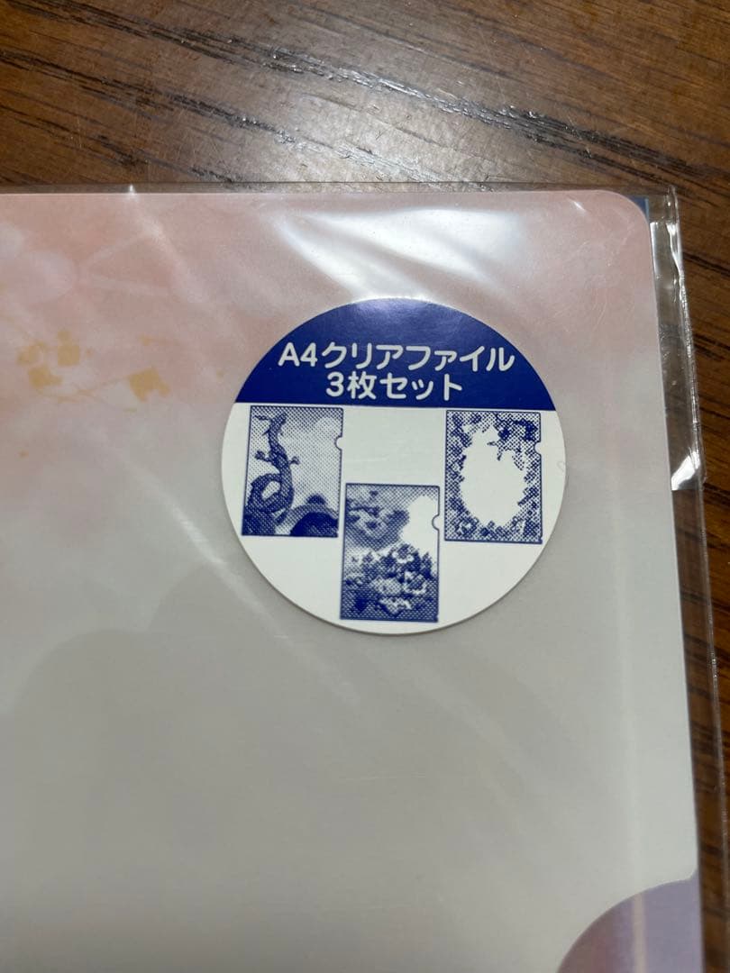 新品未開封　2015お正月　クリアファイル3枚セット ピカチュウ　レックウザ