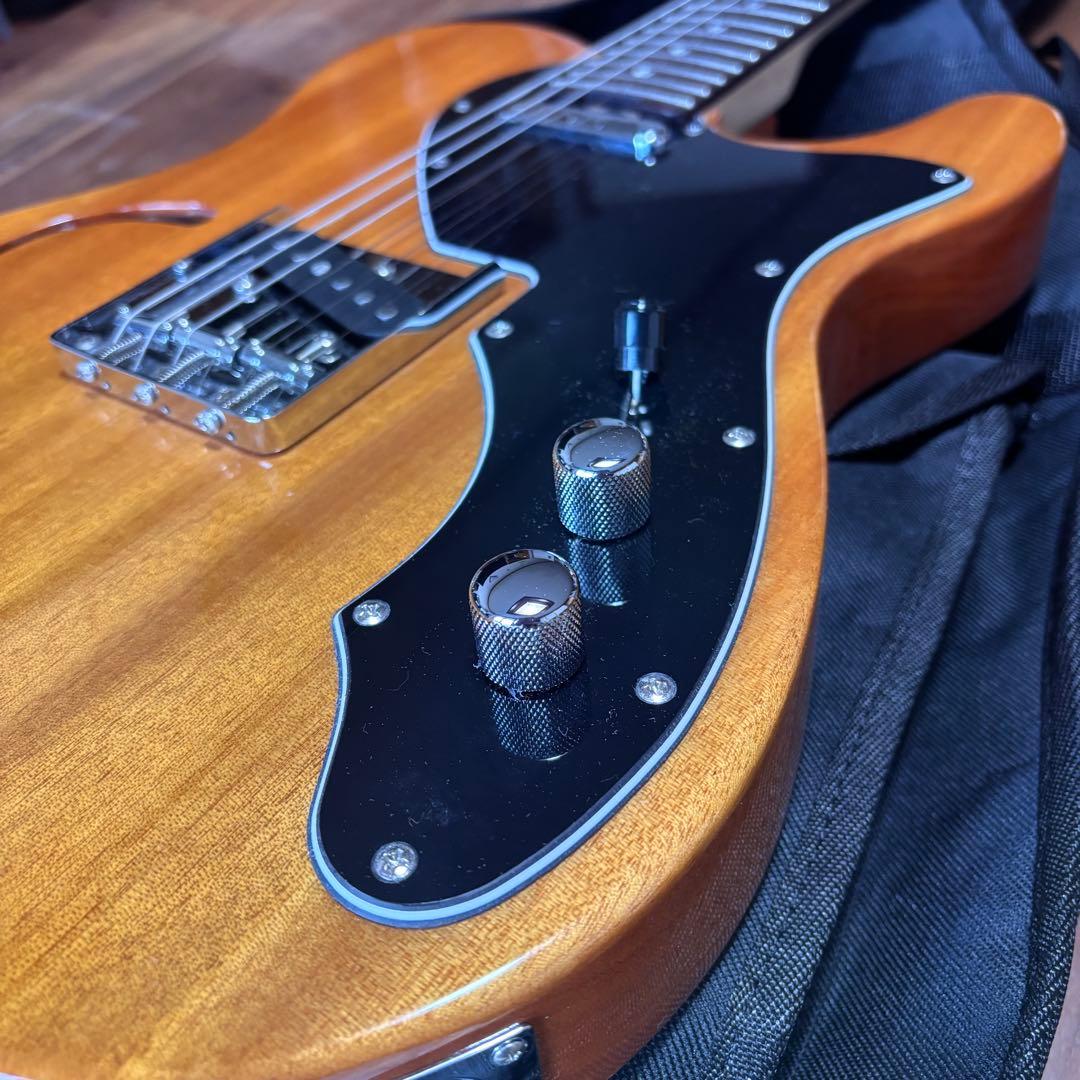 美品 SCHECTER OL-PT-TH 限定生産 シンライン 即購入可