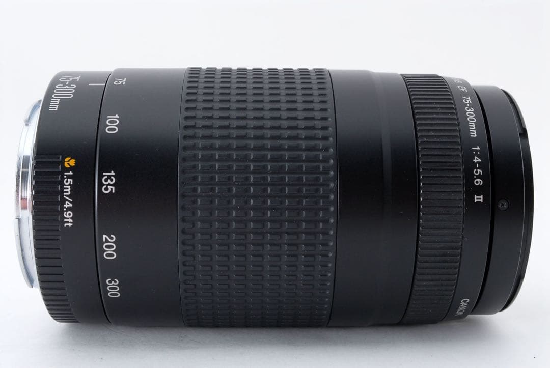 イベント/望遠レンズ/美品/スポーツ/Canon EF75-300㎜