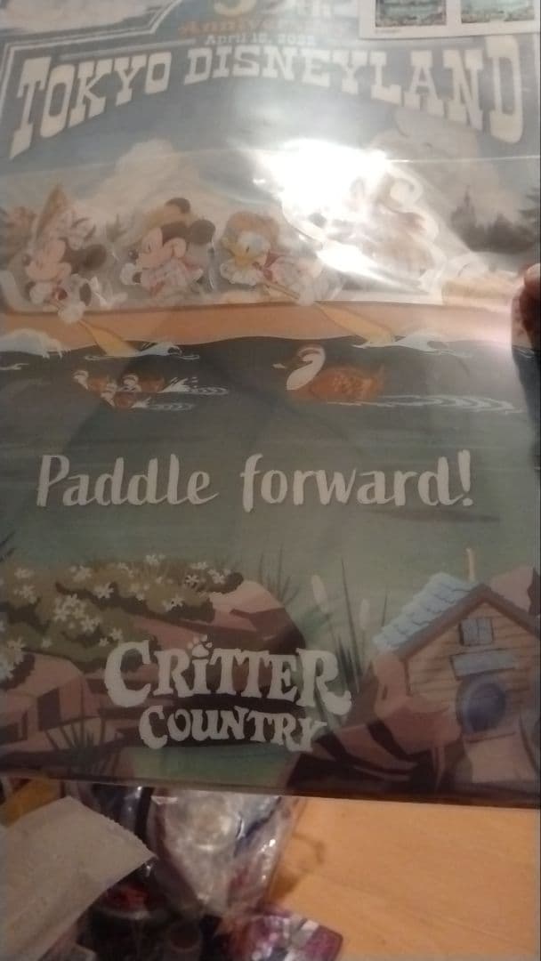 ディズニー クリアホルダー セット