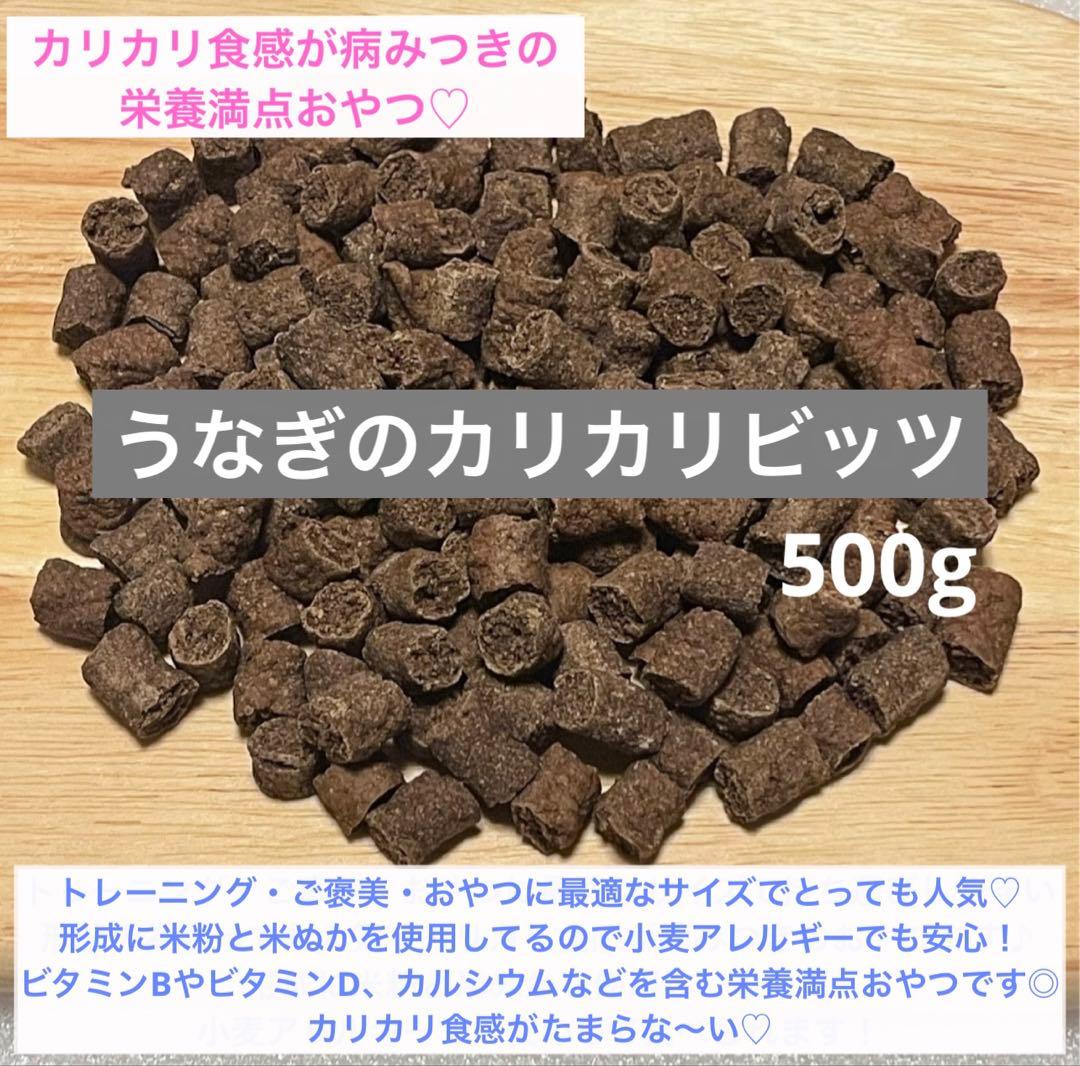 かこちゃんまん