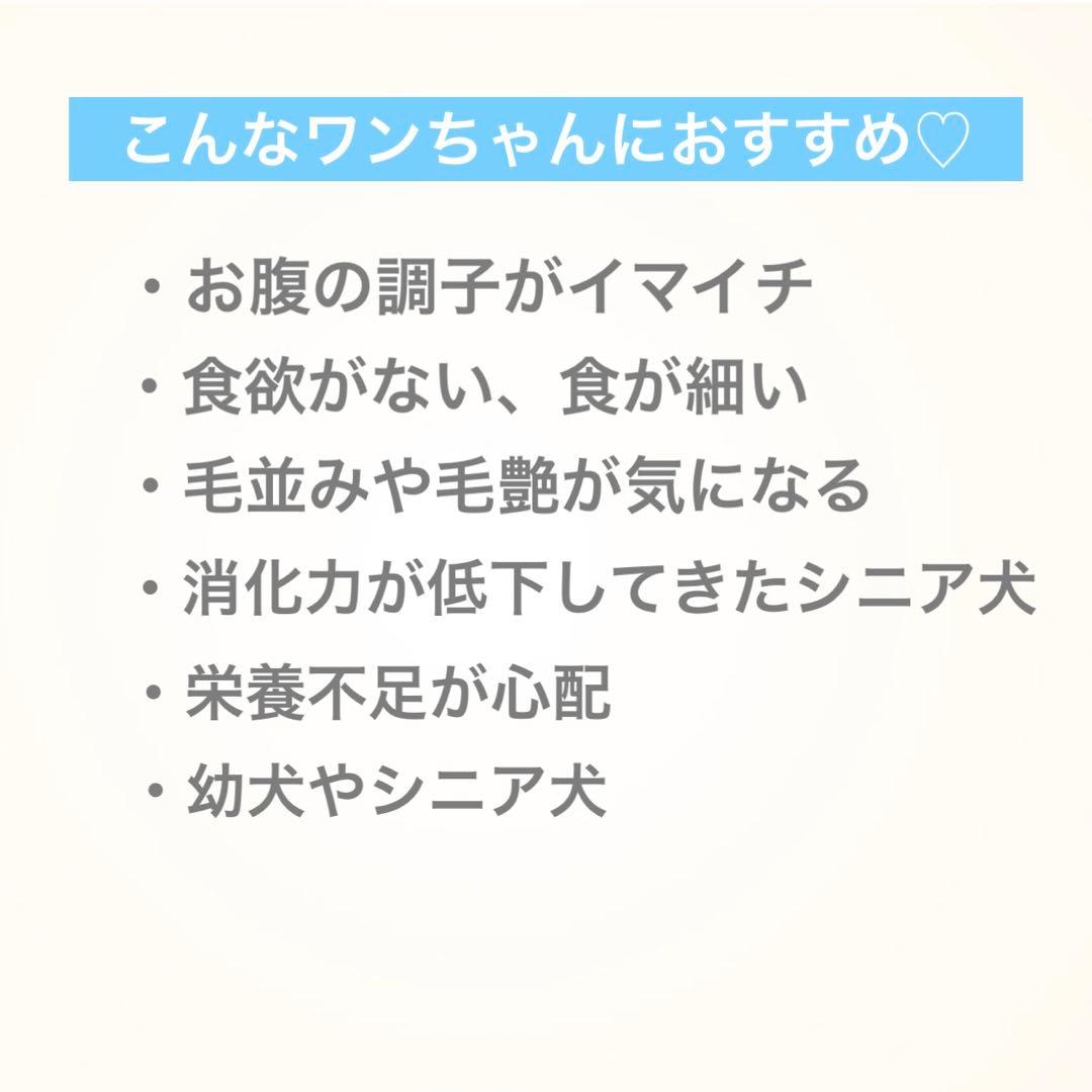 かこちゃんまん