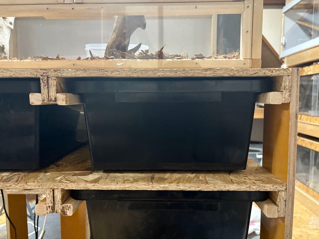 スネークラック　オーダー　受付用　爬虫類　ボールパイソン　ケージ