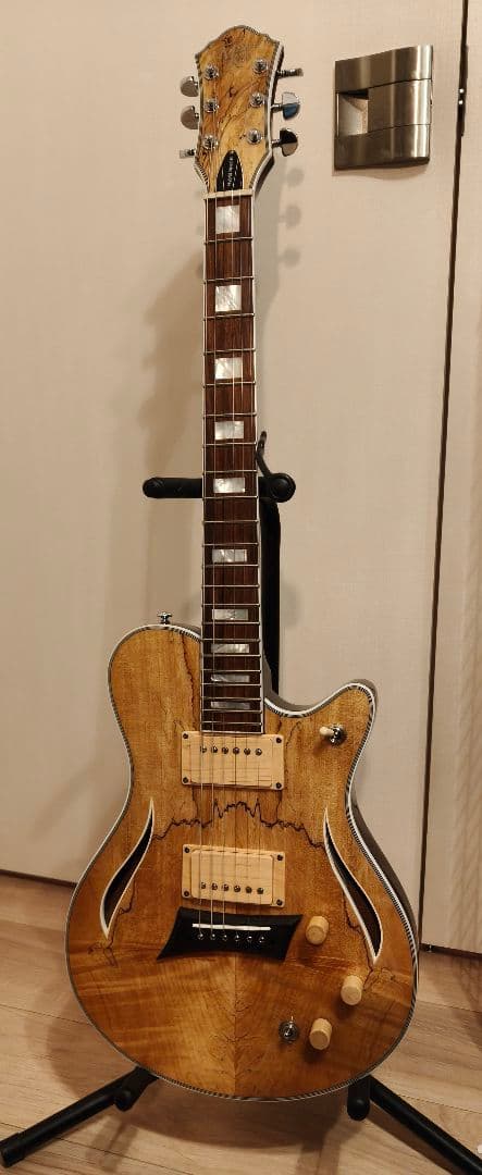 ギター Michael Kelly Guitars Hybrid Special