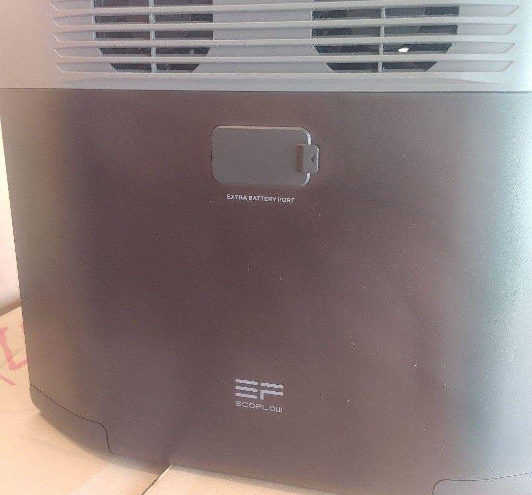 か*あ様 正規整備済品　EcoFlow DELTA 2 ポータブル電源