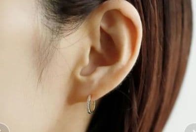 SIENA ROSE　ダイヤラインフープピアス