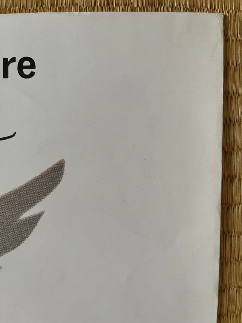 ヒッチコック　鳥　リプロポスター