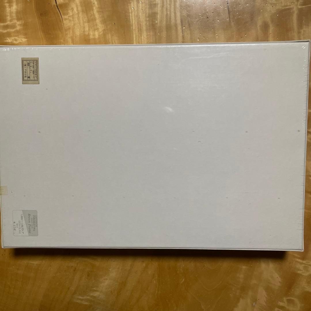 アポロ社　ジグソーパズル　アレクサンダー・チェン　ラジオシティ　1000P