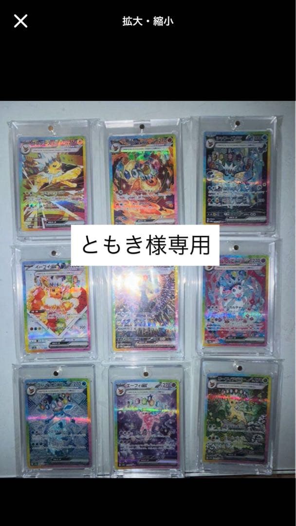 テラスタルフェスex ブイズSAR9枚　まとめ売り