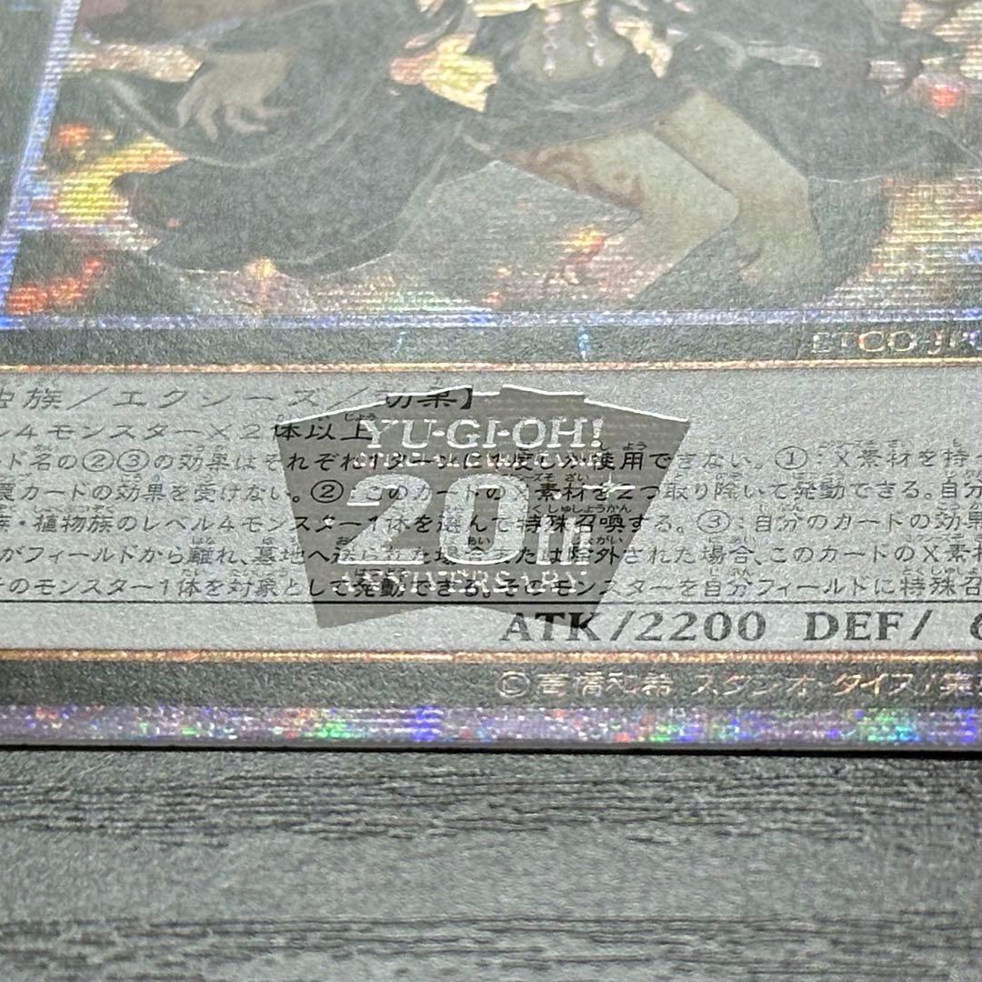 遊戯王 アロメルスの蟲惑魔 20th アジア版 中国表記